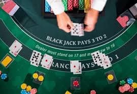 Studio Live Casino daun123 dengan dealer profesional dan multi-kamera